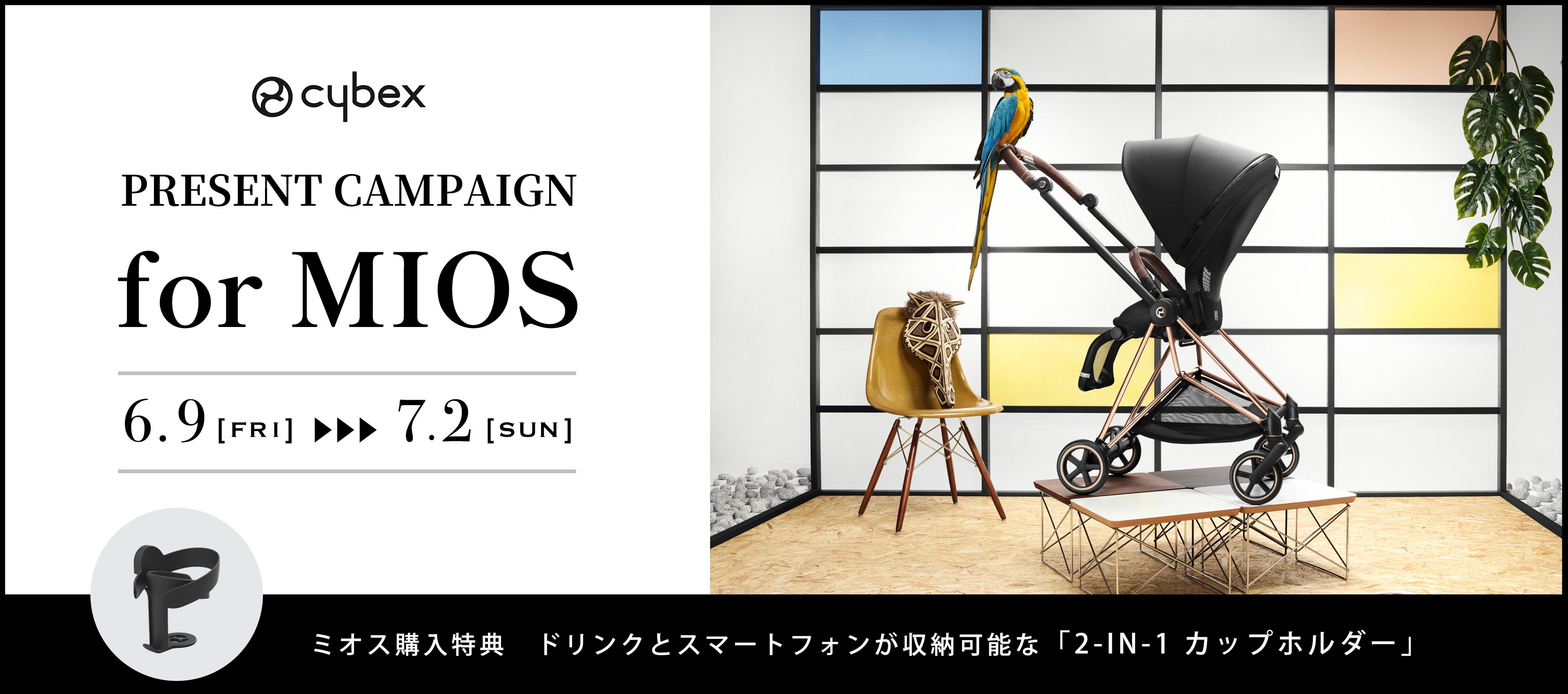 PRESENT CAMPAIGN for MIOS