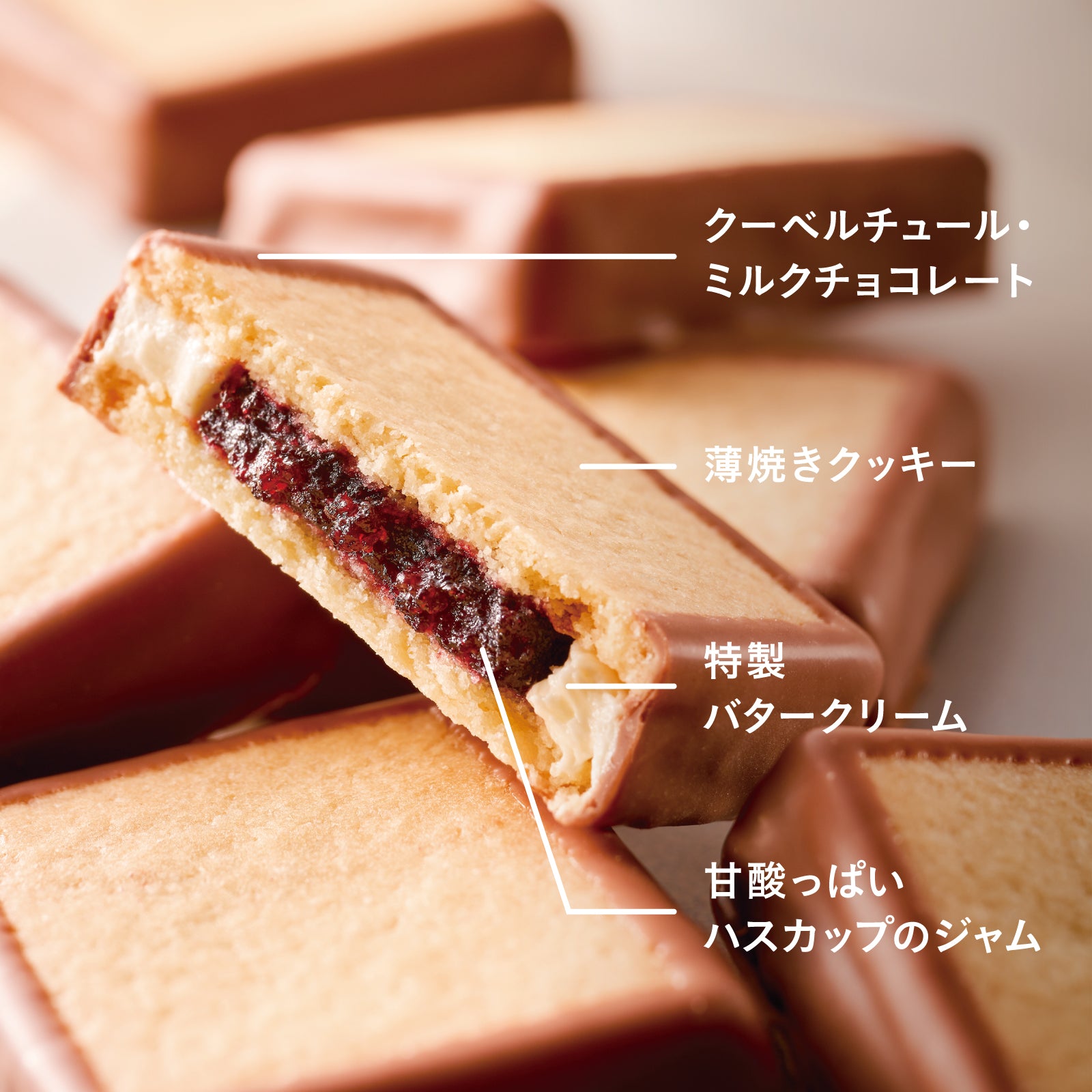 三立製菓 サクッテチョコレートパイ １パック（１１本）