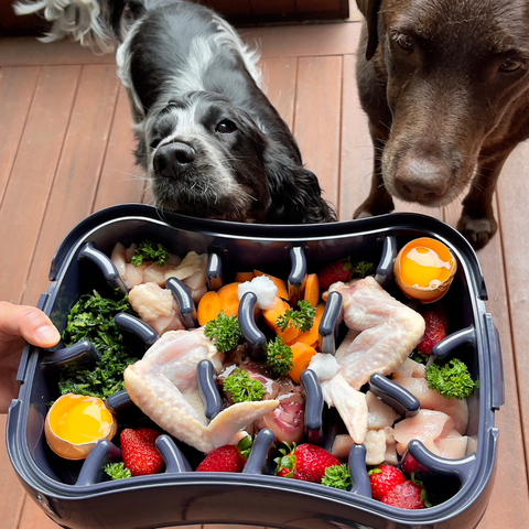 Dog bowl, slow feeder, chicken wings, carrots, strawberries