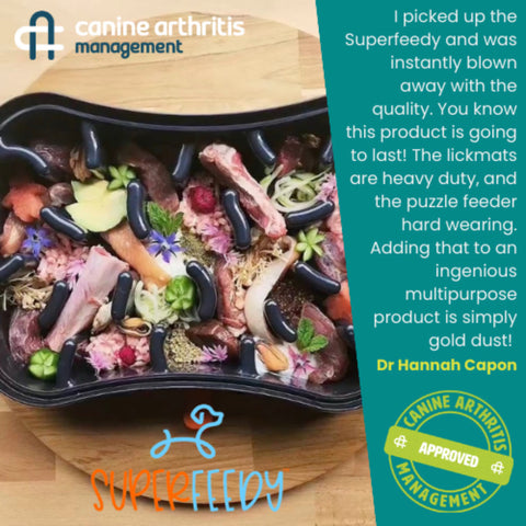 Dr Hannah Capon's review of the Superfeedy Slow Feeder Dog Bowl