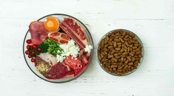 Homemade diet dog food may not provide the right nutrition for your dog.
