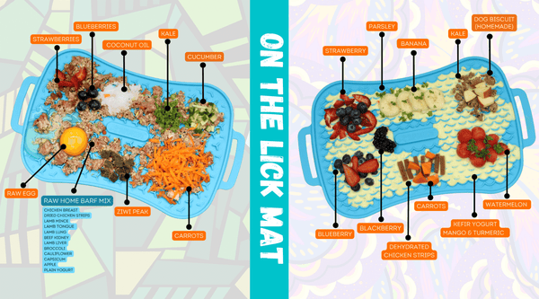 Super Feedy Reversible Lick Mat Recipes