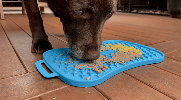 Want To Know What To Put On Lick Mat For Dogs? - Super Feedy