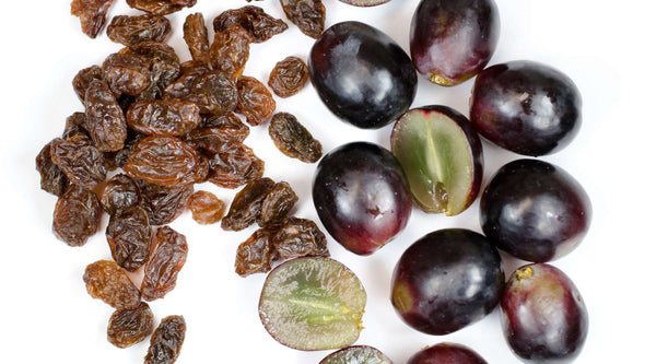 Raisins and grapes can cause kidney failure in dogs.