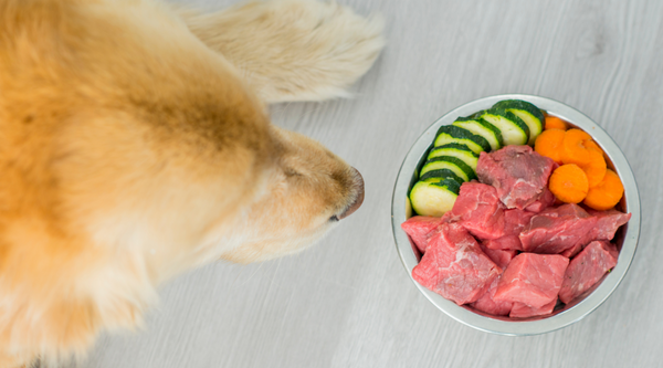 Healthy Dog Food