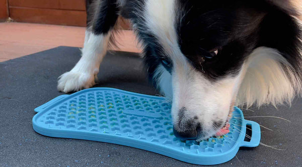 Lick Mats for Dogs from Super Feedy in Australia!