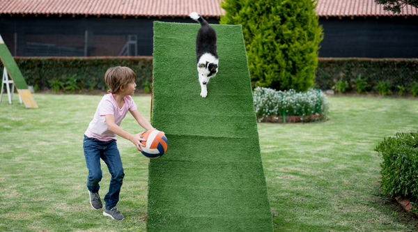 Make a DIY obstacle course