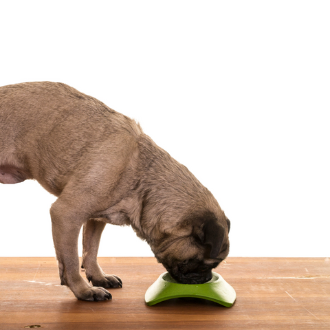 2 Levels Dog Puzzle Toys, Slow Feeder Dog Bowls for Small/Medium