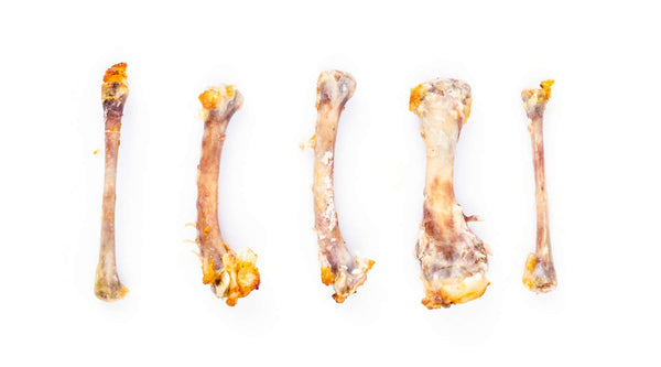Cooked bones can splinter and cause blockages or tears in a dog's digestive system.