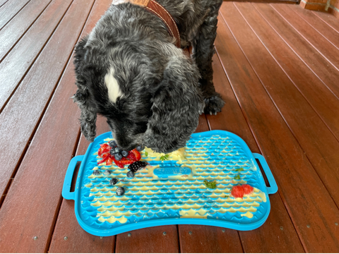 Anxiety Relief for your Dog, slow feeder dog bowls and lick mats