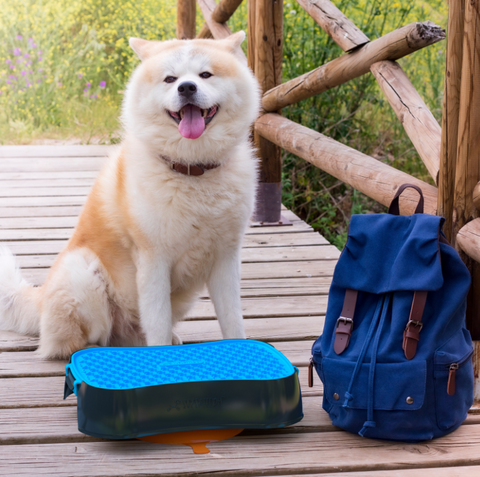 SuperFeedy - the slow feeder pet bowl