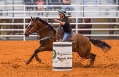GastroElm Plus for Barrel Horse with ulcers