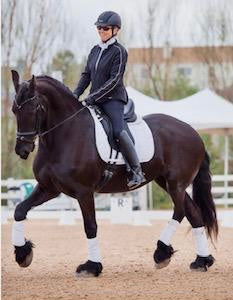 Dressage Horse With Stomach Issues