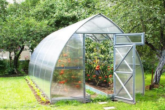 Sungrow 26 Backyard Greenhouse Kits for Sale - Heavy Duty Greenhouses –  Planta Greenhouses Canada