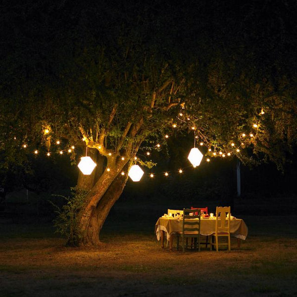 garden lights next to tree