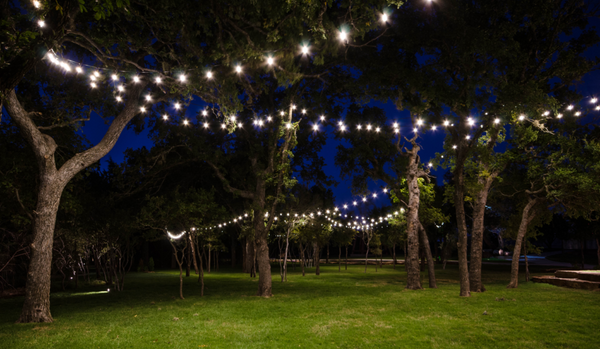 12V LED string lights