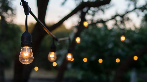 garden outdoor lights