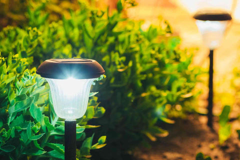 solar lights shining bright in a garden