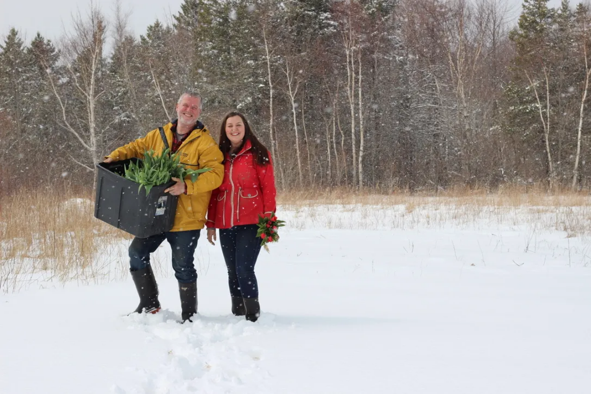 Sarah & Kenny holding cut tulips in the spring snow