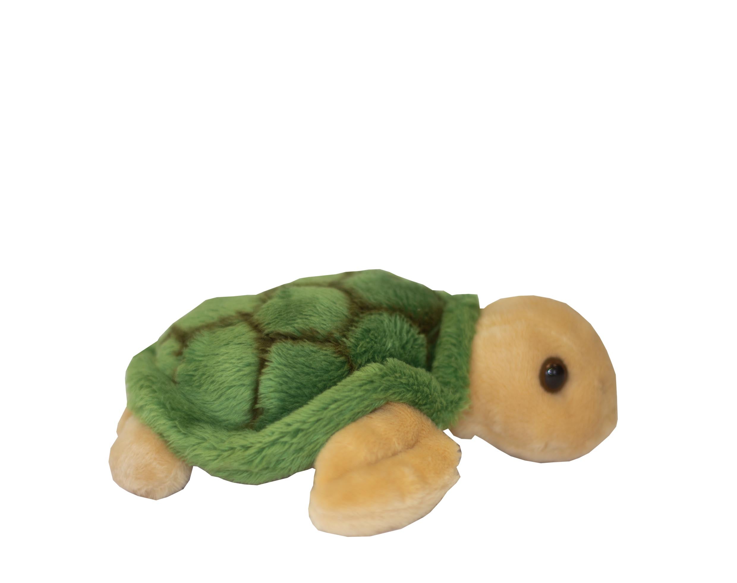 turtle soft toy