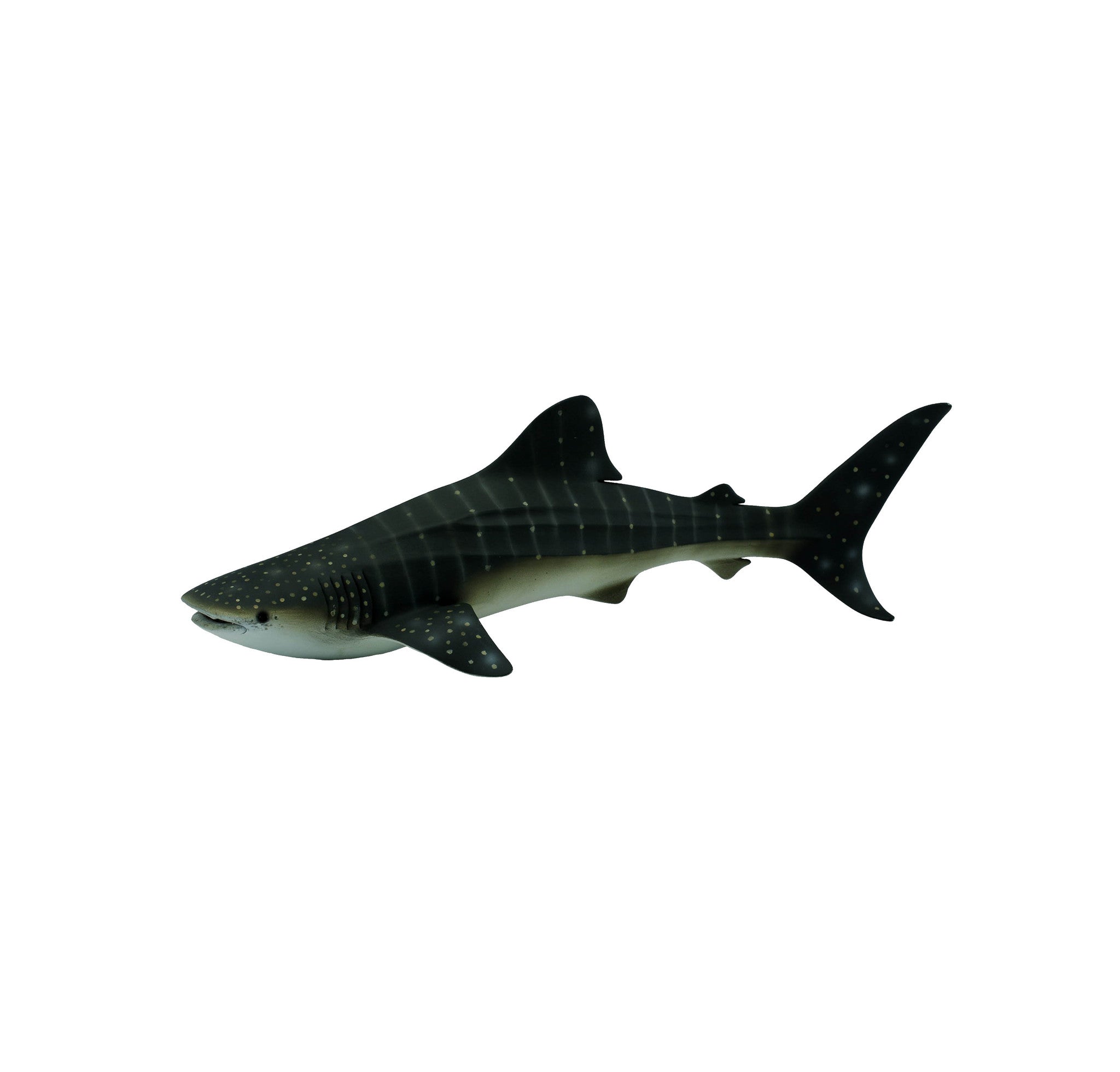 shark toys nz