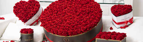 Cajas de rosas eternas_ Madame Wants Roses