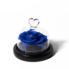 Rose éternelle sous cloche - Madame Veut Des Roses