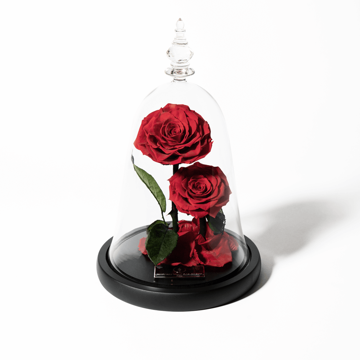 Rose sous cloche divine – Madame Veut Des Roses