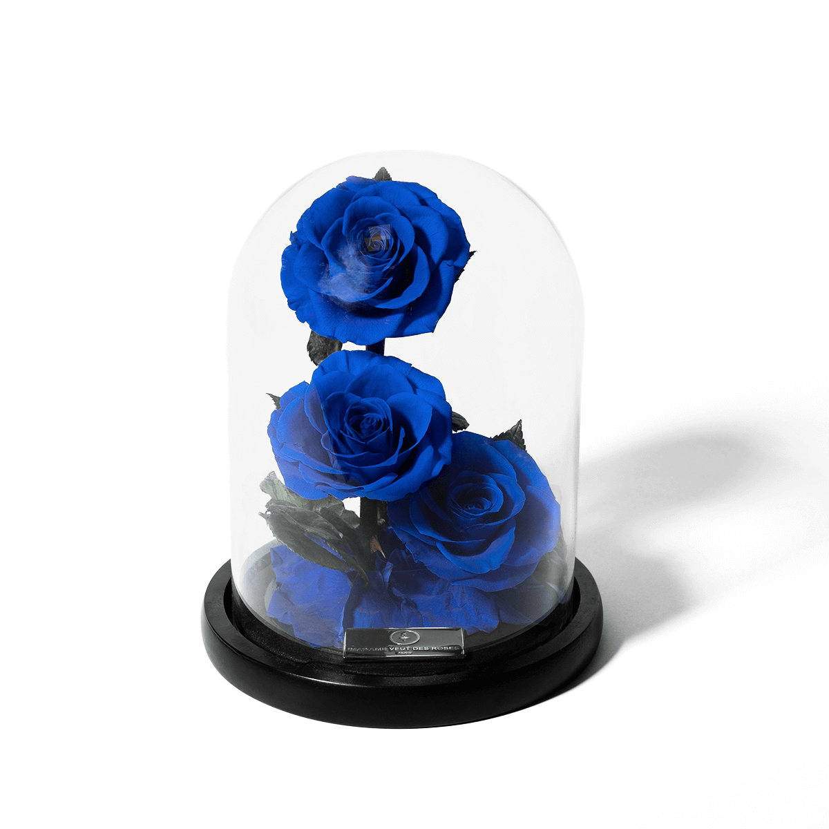 Rose sous cloche séduisante – Madame Veut Des Roses