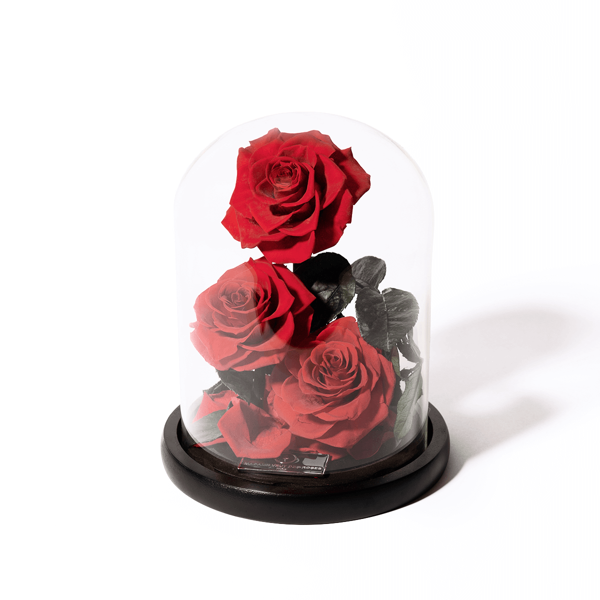 Rose sous cloche séduisante – Madame Veut Des Roses