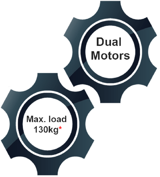Dual Motor