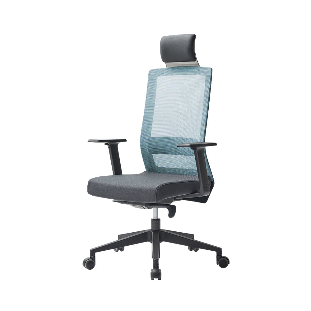 DUOREST Duoflex Square Office Home Ergonomic Mesh Chair, Black Frame