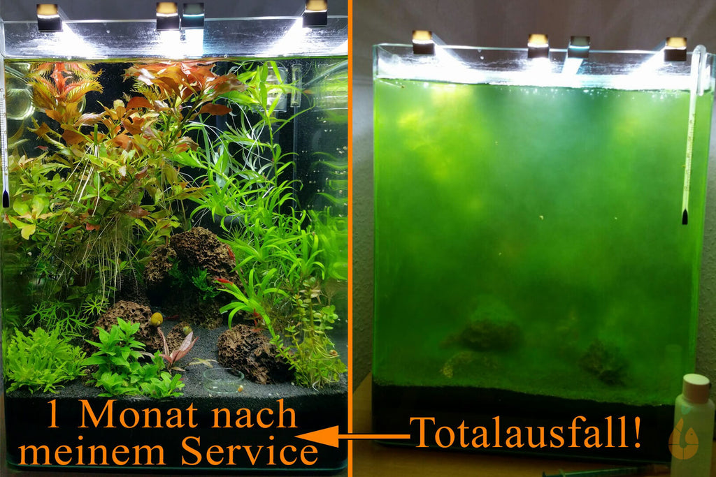 Aquarium Service