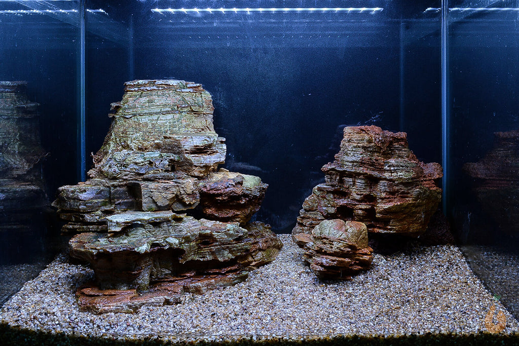 Kleiner Wasserstern | Pogostemon helferi | Hardscape Aquascape Aquarium