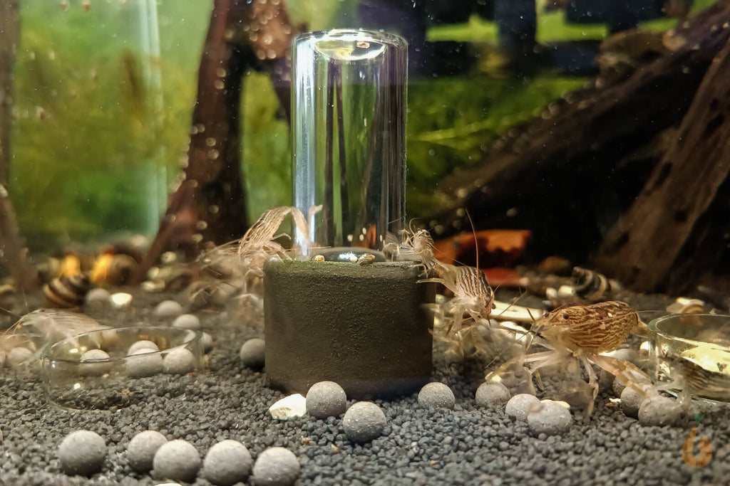 Söchting Oxydator Mini | Aquarium Sauerstoffversorgung für Aquarium Garnelen
