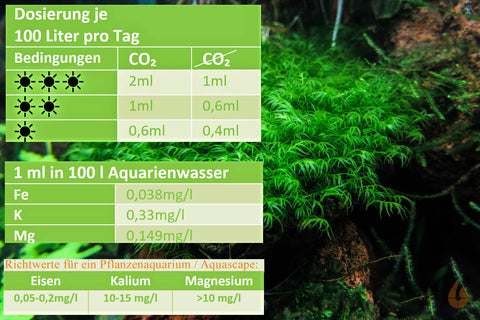 Dosierempfehlung Green Scaping Eisen Power - Eisenvolldünger | Mikronährstoffe