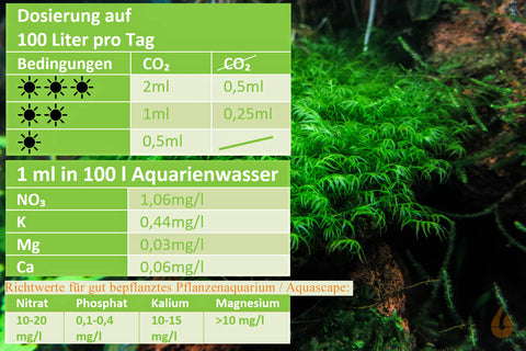 Dosierempfehlung Greenscaping N Power - Nitratdünger | Makronährstoff