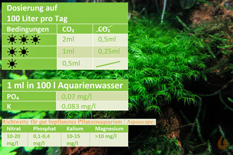 Dosierempfehlung Greenscaping P Power - Phosphatdünger | Makronährstoff