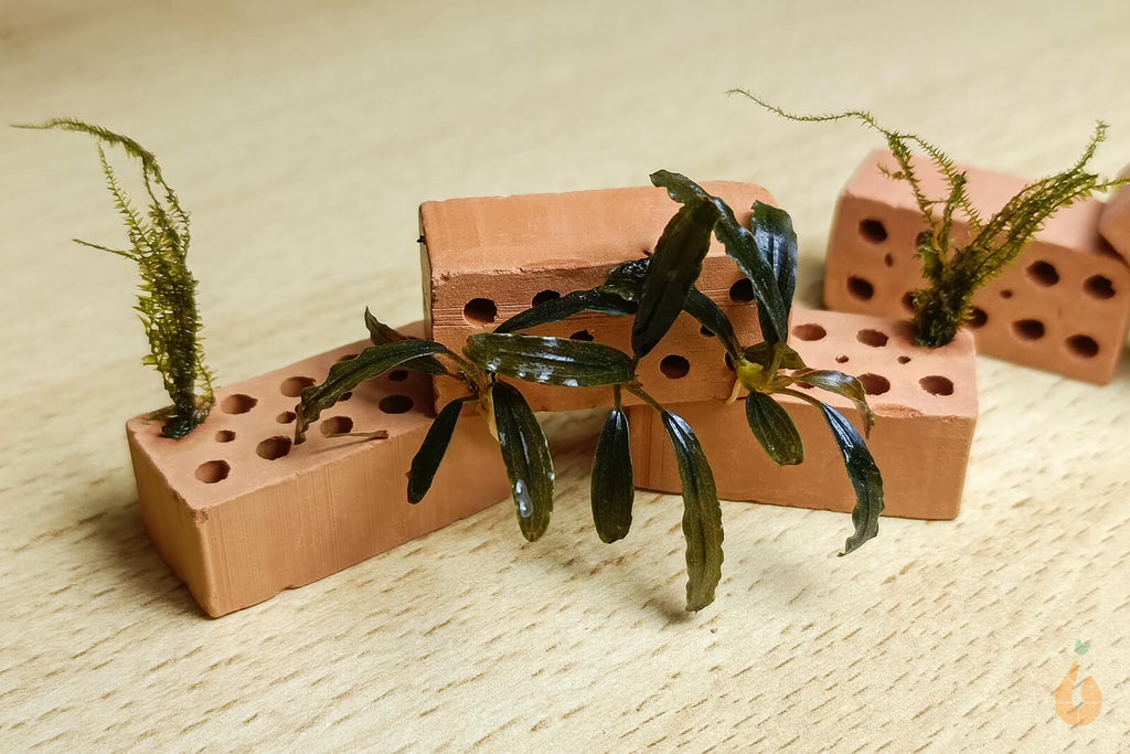 Nano mini Ziegel / Ziegelstein | Backstein zum Aufbinden von Pflanzen / Moosen