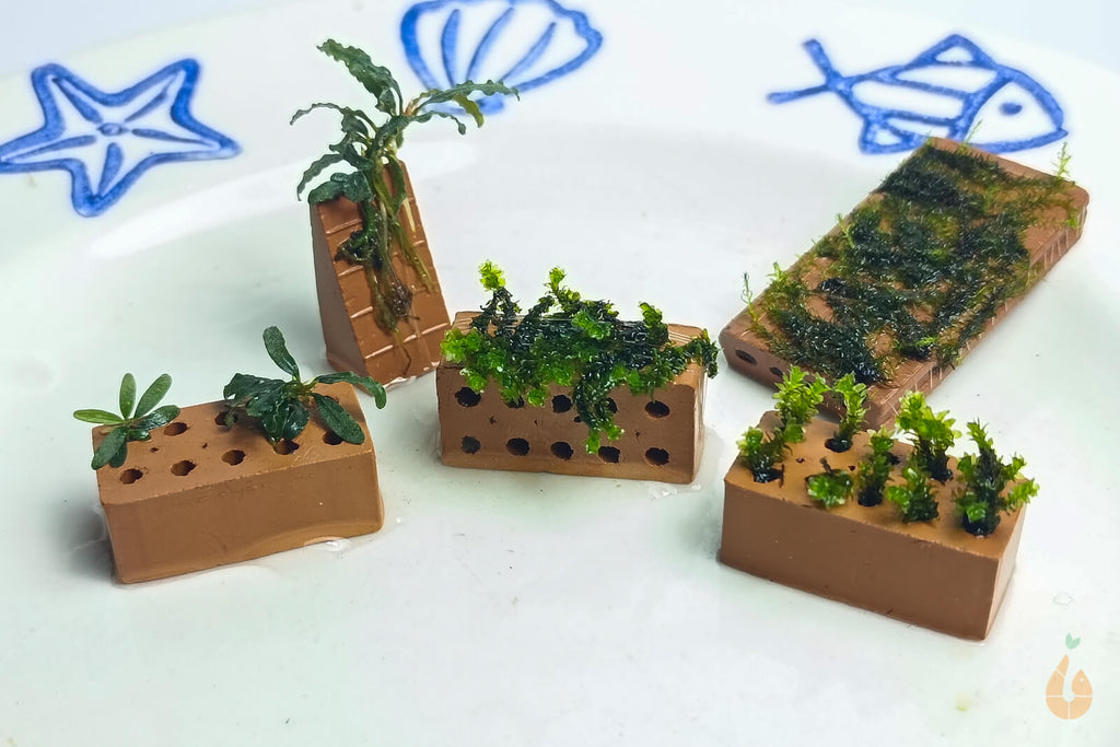 Nano mini Ziegel / Ziegelstein | Backstein zum Aufbinden von Pflanzen / Moosen