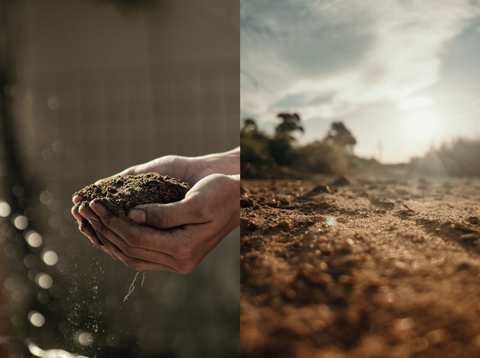 Split screen of soil health images - one with someone holding soil, the other with lush land