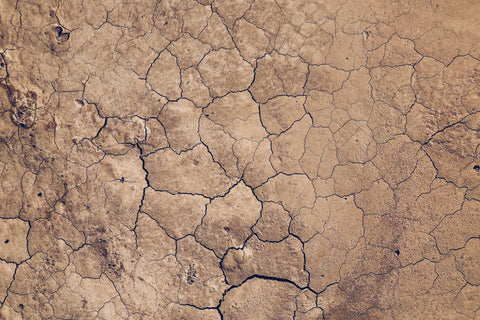 Image of dry, cracked dirt not soil