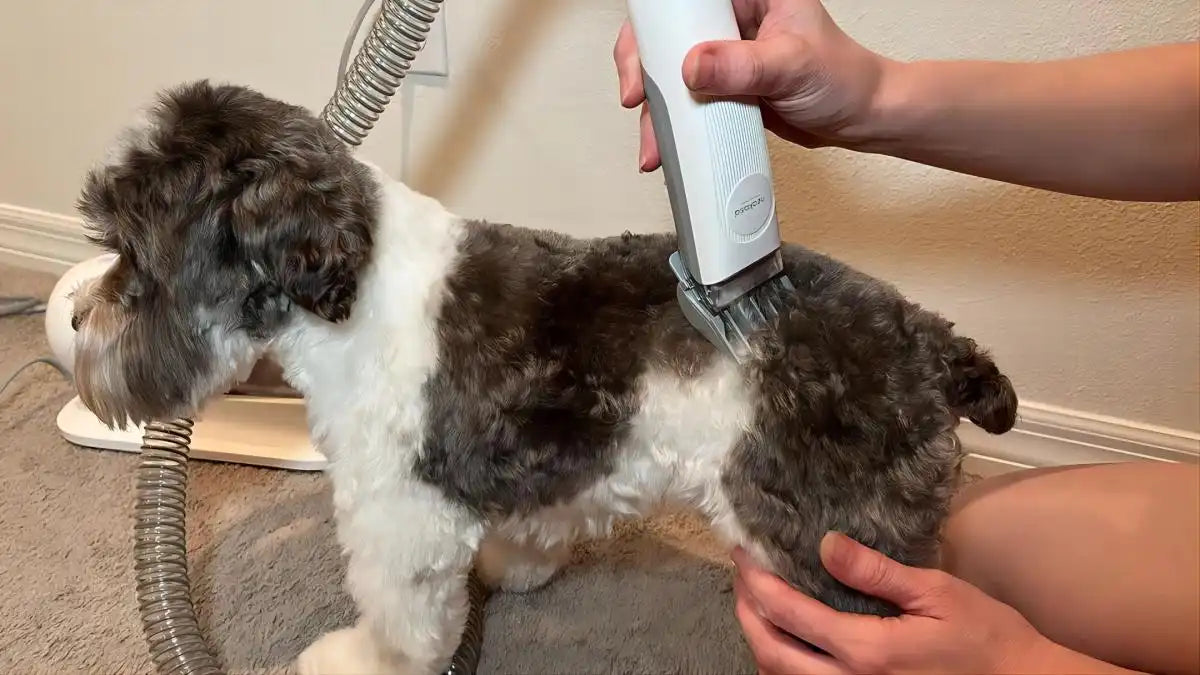 neakasa dog grooming