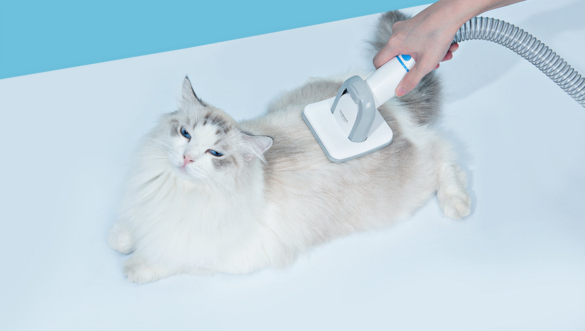 neakasa pet grooming kit with vacuum