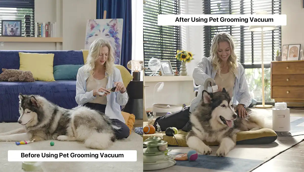 before and after using pet grooming vacuum