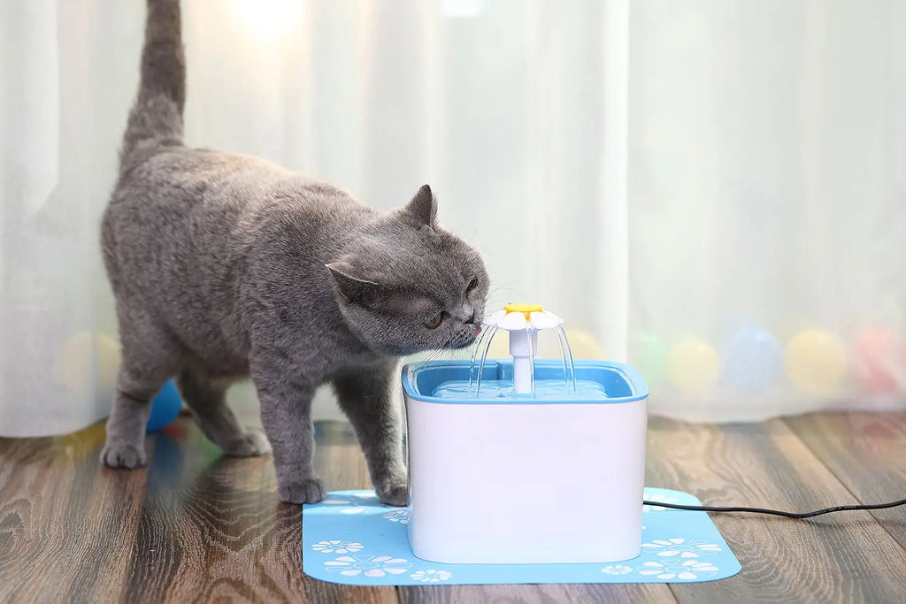 Automatic Water Fountains