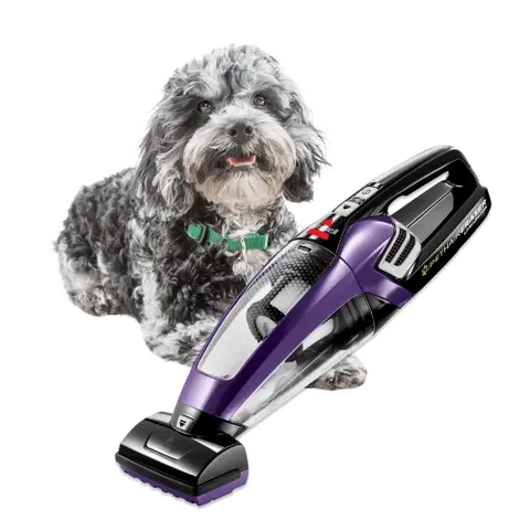 Bissell Pet Hair Eraser