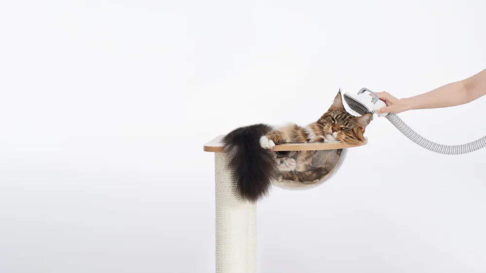 Cat deshedding tool