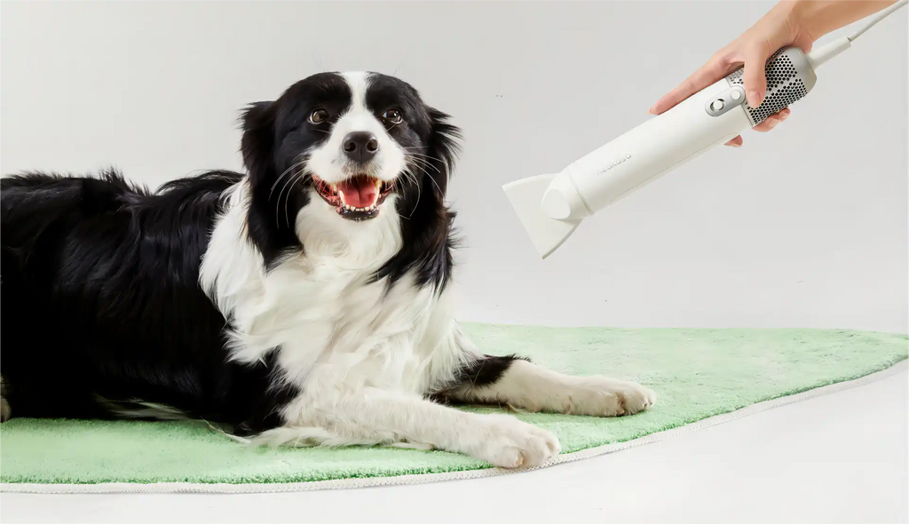 neakasa F1 dog hair dryer