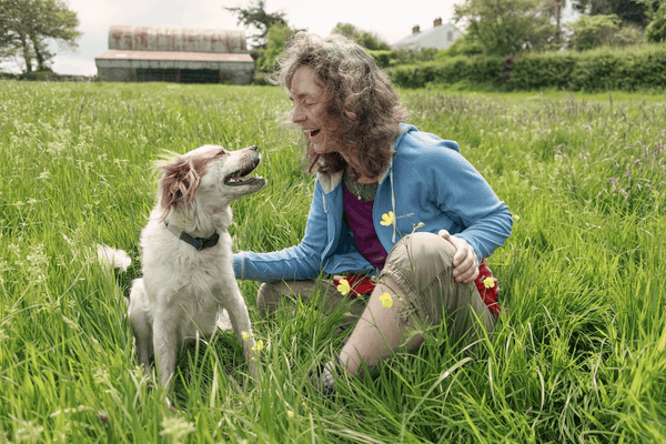 Take A Nice Photo With Your Dog